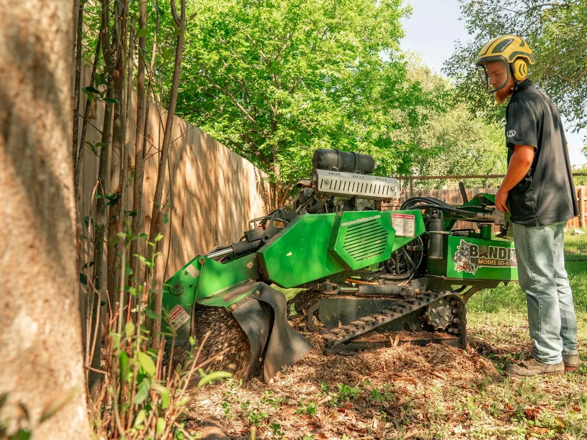 Stump Grinder available to rent in Utah